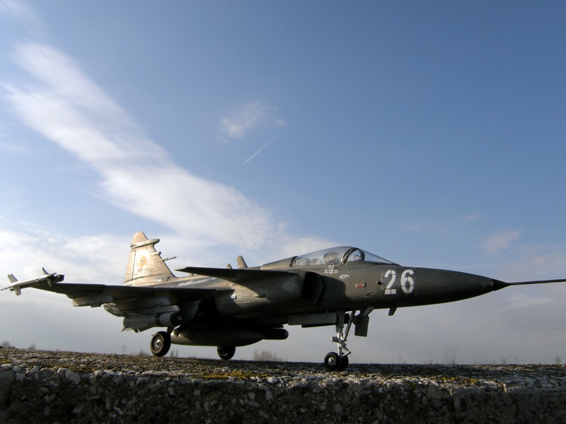 Modele de avioane militare - 2009 P3280014