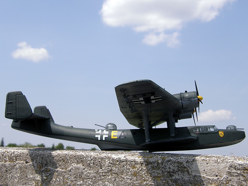 Modele de avioane militare - 2009 P5100015
