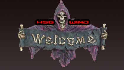 wWw.HsG-Wind.ForUmz.Ro | Forum 11111111