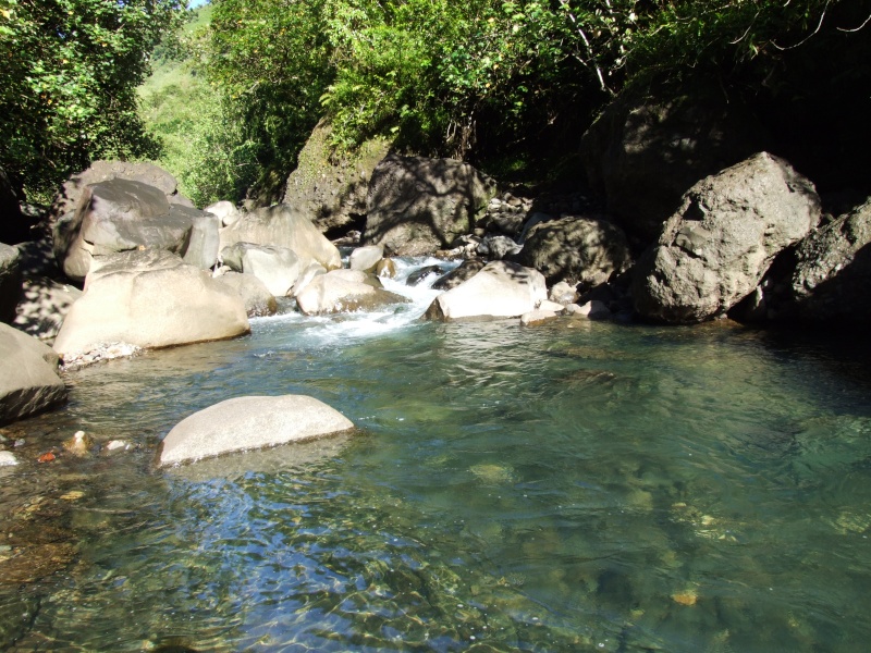 Photos de tahiti, et de ses îles !! Dscf6610