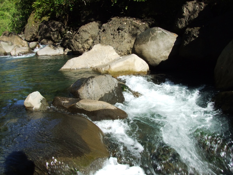 Photos de tahiti, et de ses îles !! Dscf6611