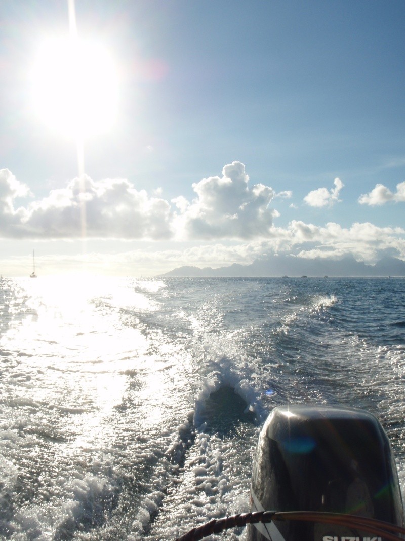 Photos de tahiti, et de ses îles !! Pc140311
