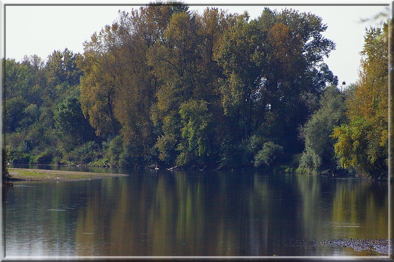 La rivière Allier. Imgp0053