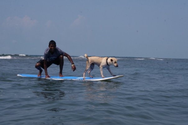 BanglaDesh  First  Surfer ( Cox's Bazar ...R Jafar) 4309_811