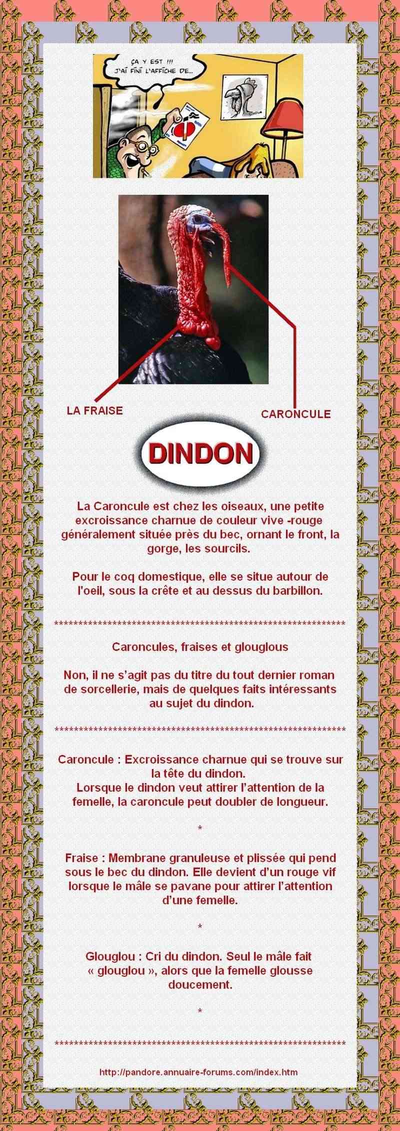 DINDON  -  LA CARONCULE  -  LA FRAISE  -  GLOUGLOU 251
