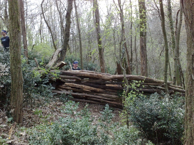 jeudi 2 avril ma cabane au fond du terrain Fort0110