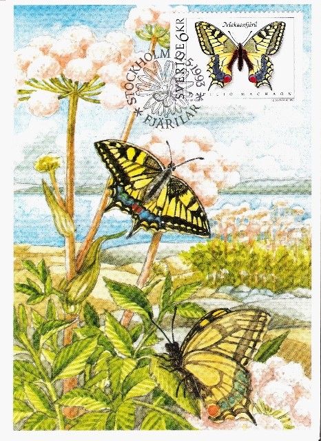 Schmetterlinge Fjaril14