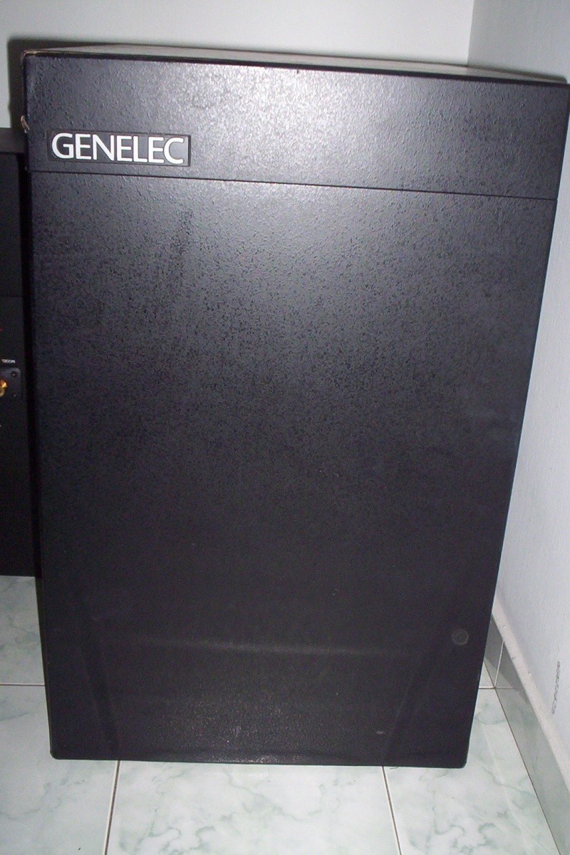 Genelec 1094A subwoofer (Used)SOLD 100_5914