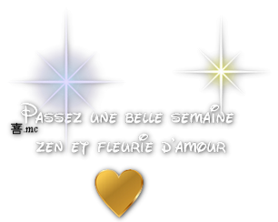 Bon week-end, bon lundi etc... Bs110