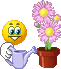 smileys Z_ac_m11