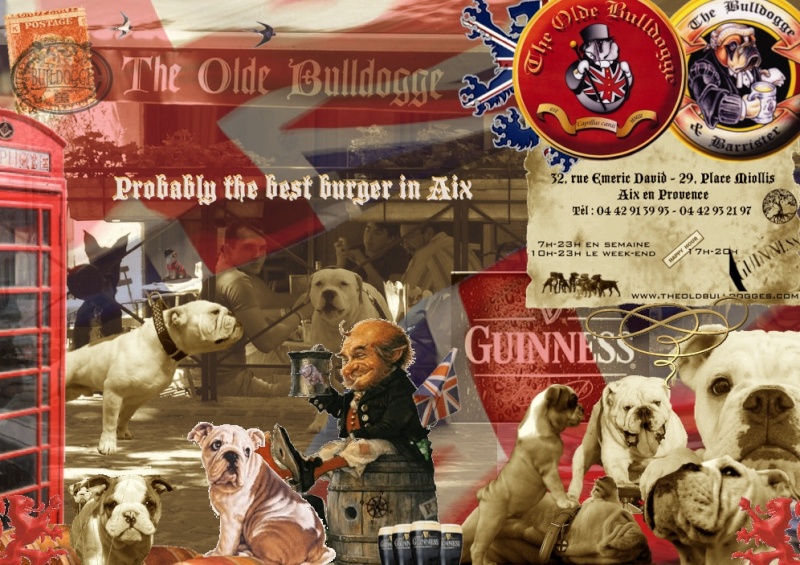 The Oldebulldogges  Update Logo_111