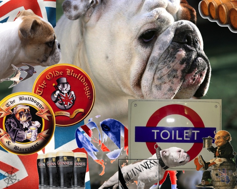 The Oldebulldogges  Update Toilet10