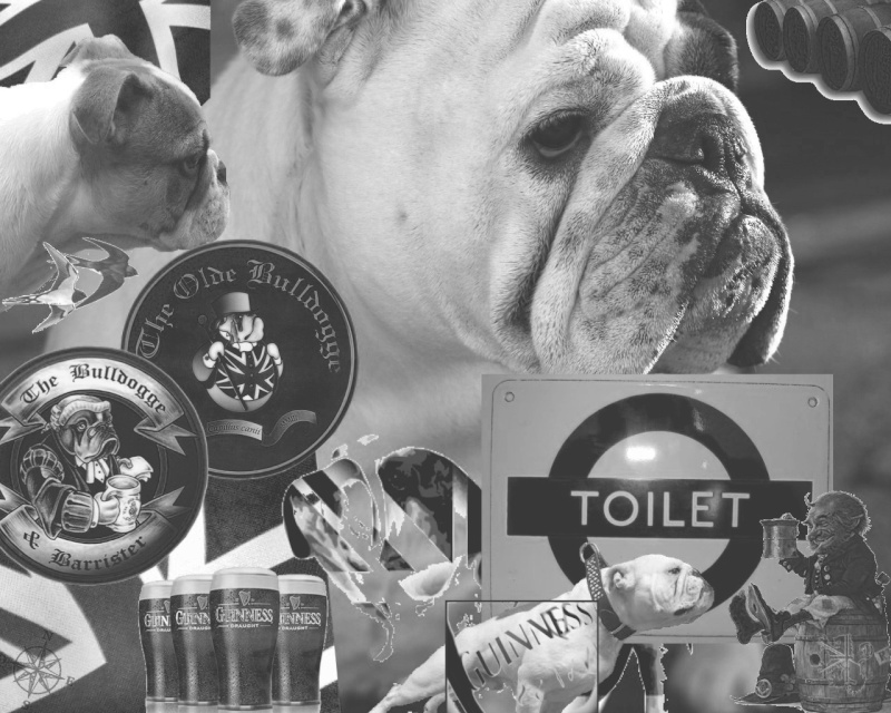 The Oldebulldogges  Update Toilet11