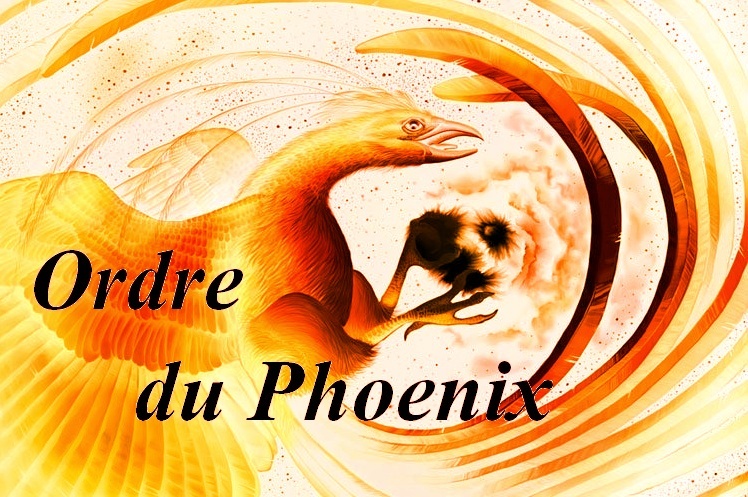 L'Ordre du Phoenix