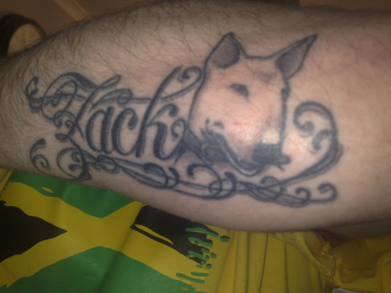 Post pics of your tattoo's 04062010