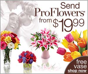 FREE Vase from ProFlowers 300x2513