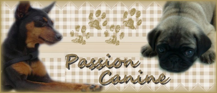 Passion Canine Noubel10