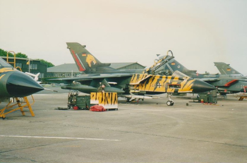 Tiger meet 1994 de Cambrai 03610