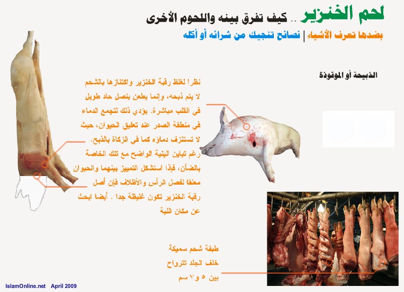 كيف تفرق بين لحم الخنزير واللحوم الاخرى عند الشراء او الاكل 0b226f10