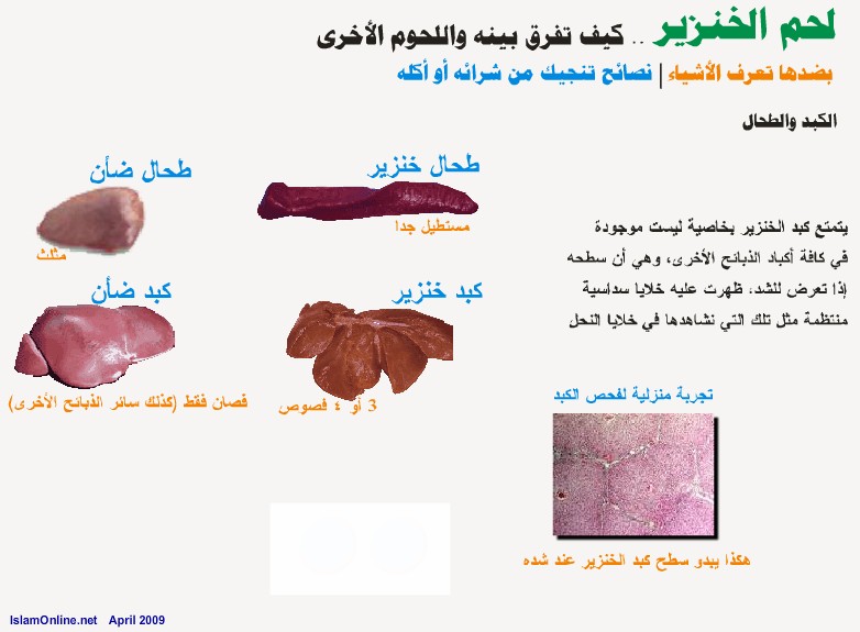 كيف تفرق بين لحم الخنزير واللحوم الاخرى عند الشراء او الاكل 610