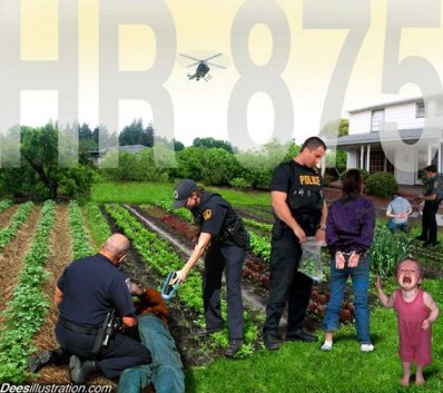 HR 875 : Le Congrès étasunien veut interdire à tout-un-chacun de cultiver ses propres légumes Hr875-10