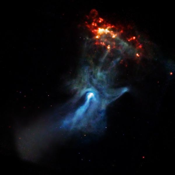 un jeune pulsar montre sa main Pulsar10