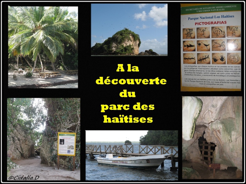 Sortie au Parc National de los Haïtises 119