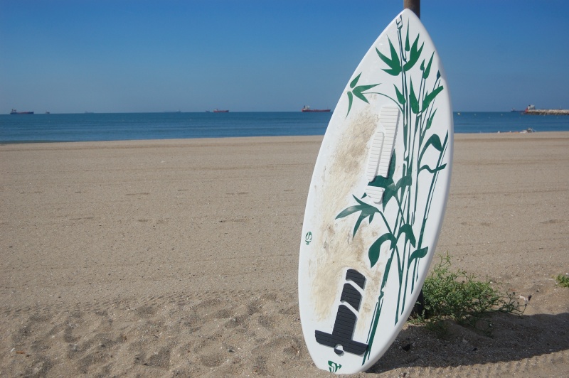 skim board