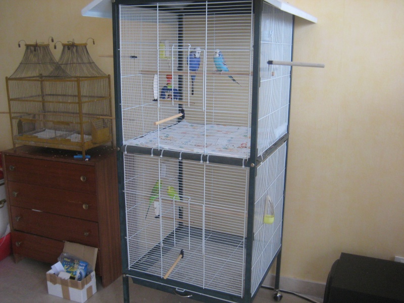 Ma cage Img_1824