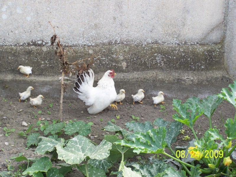 Papa, maman et les enfants. Nagasa11