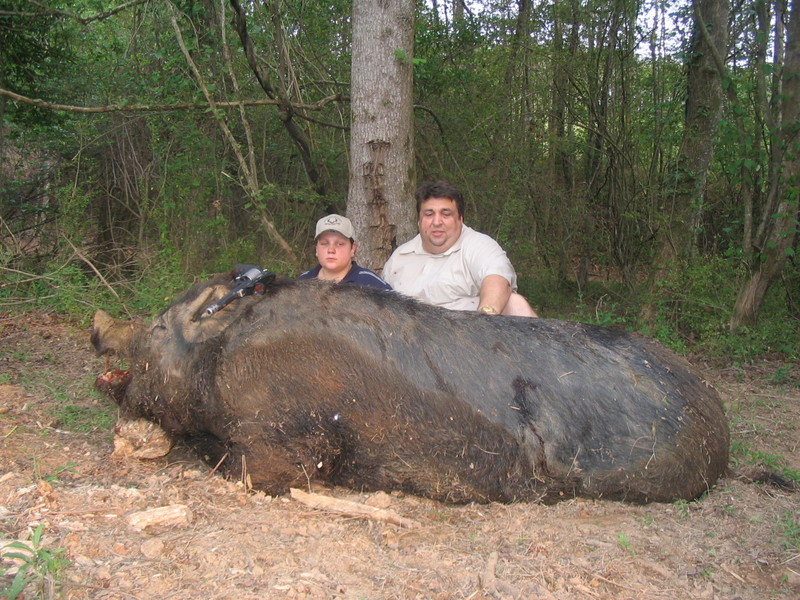 Wtf is this a real hog? Bighog10