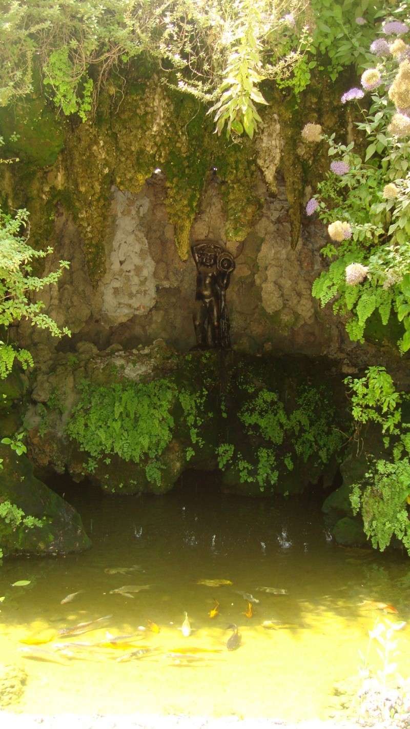 el hamma - Le Jardin d’Essai du Hamma  ... Un patrimoine exceptionnel Dsc01126
