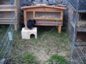 Habitation des lapins : exemples de cages, enclos ... - Page 6 Hpim5413
