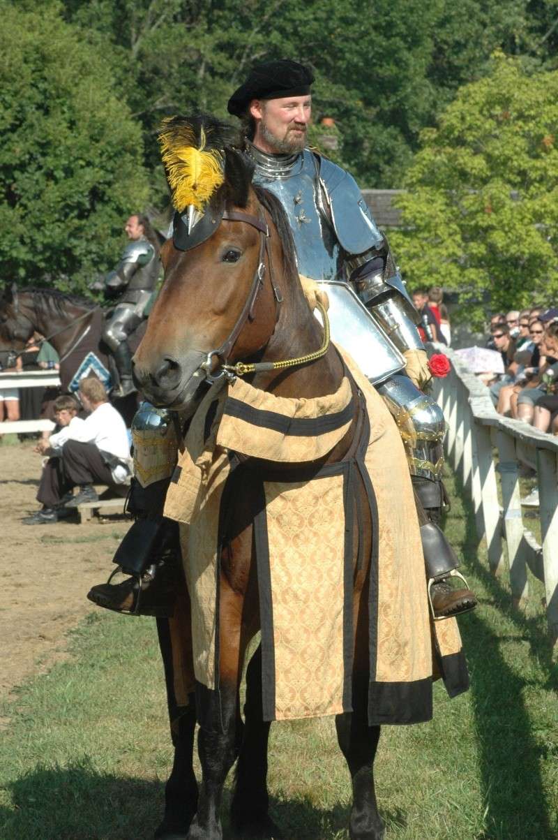knight pictures Dsc_0710
