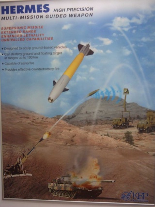 "Hermes" multi-purpose guided missile: Dsc00811
