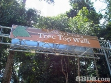 29 November 2009 - Sunday - Trip to Sedim Kulim (Tree top Walk) 211