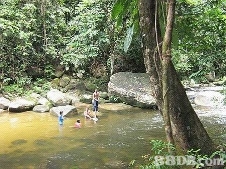 29 November 2009 - Sunday - Trip to Sedim Kulim (Tree top Walk) 311