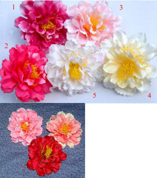 Flower Buy Color-20