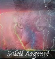 Kit avatar et bannière Soleil Argenté 00000011