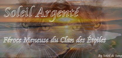 Kit avatar et bannière Soleil Argenté Signa_10