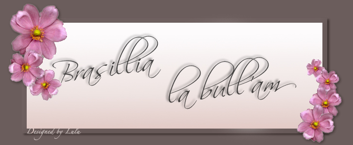 Forum de Brasillia la bull'am