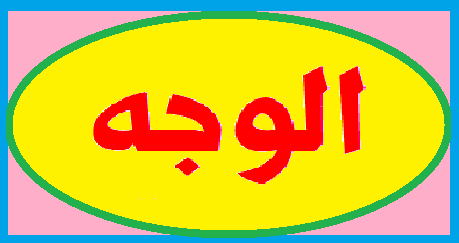 الوجه 5115