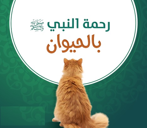 Prophet Muhammad's Kindness to Animals Ayao10