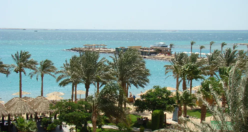 مصر: العائدون من أمريكا يقضون فترة الحجر الصحي في فنادق على البحر الأحمر Oscia_10