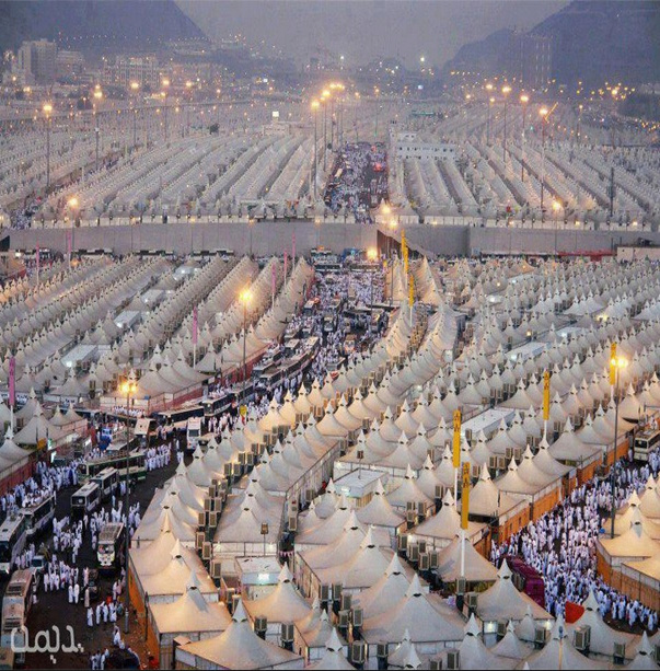 A Brief Guide to the Rites of Hajj and Umrah Untit555