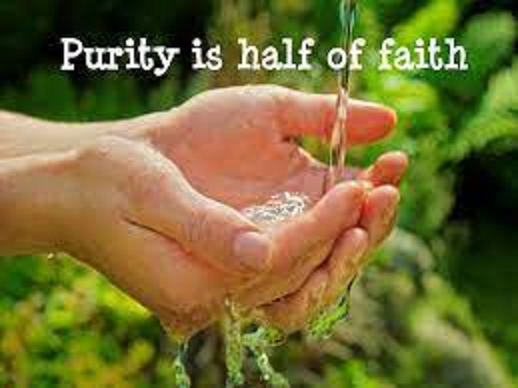 1- The Purity Untit592