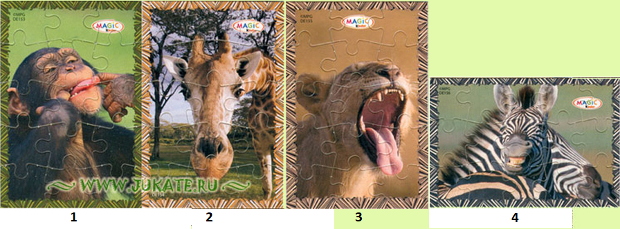 DE153 - DE156 Tierpuzzle (Deutschland/EU), (2010 Brasilien) (D. Biete, Suche Ausland) 11390