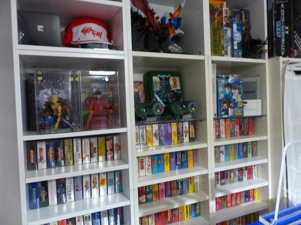 votre collection/ salle de jeu en une seule prise !! - Page 2 P1030313