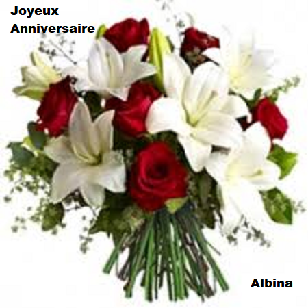 Bon Anniversaire Albina - Page 3 Tzolzo17