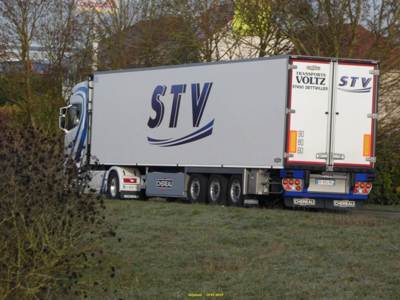 STV (Société des Transports Voltz)(Dettwiller, 67) - Page 7 P1010416